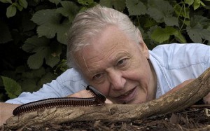 Nearing 85, David Attenborough worries about decline of Natural History knowledge