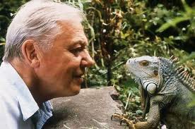 David Attenborough's back garden solves 130+ year old murder mystery