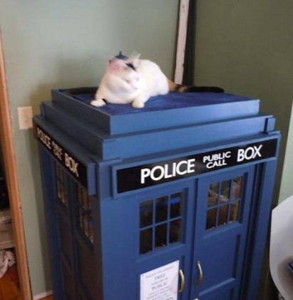 Fancy a TARDIS Cat Playhouse for that special someone?