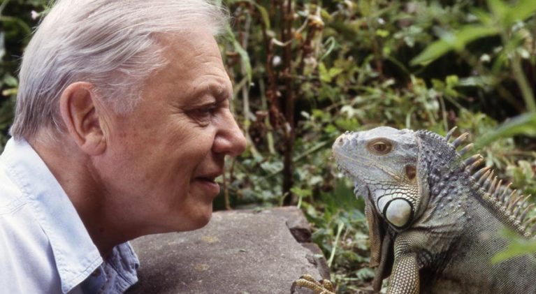 Happy 90th, Sir David Attenborough!