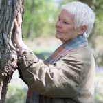 Happy 83rd, Dame Judi Dench! Trees and Champagne for everyone!