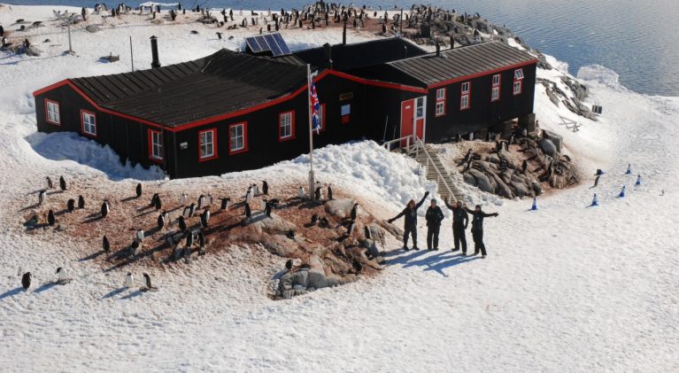 The UK Antarctic Heritage Trust wants you…to count penguins (among other things)!