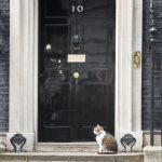 Larry the Cat — providing stability at 10 Downing Street since 2011!
