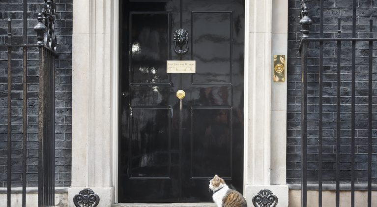 Larry the Cat — providing stability at 10 Downing Street since 2011!